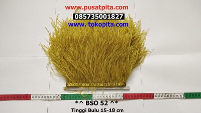 large2 BSO 52